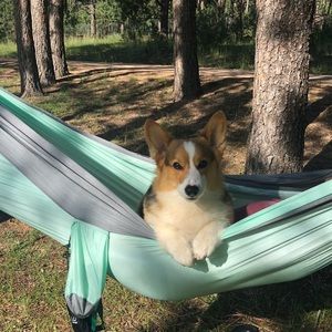 Meet your Posher, Daniella